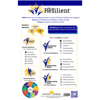 We Are Resilient™ Mindsets, Skills, and Patterns Poster